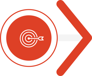 obiective